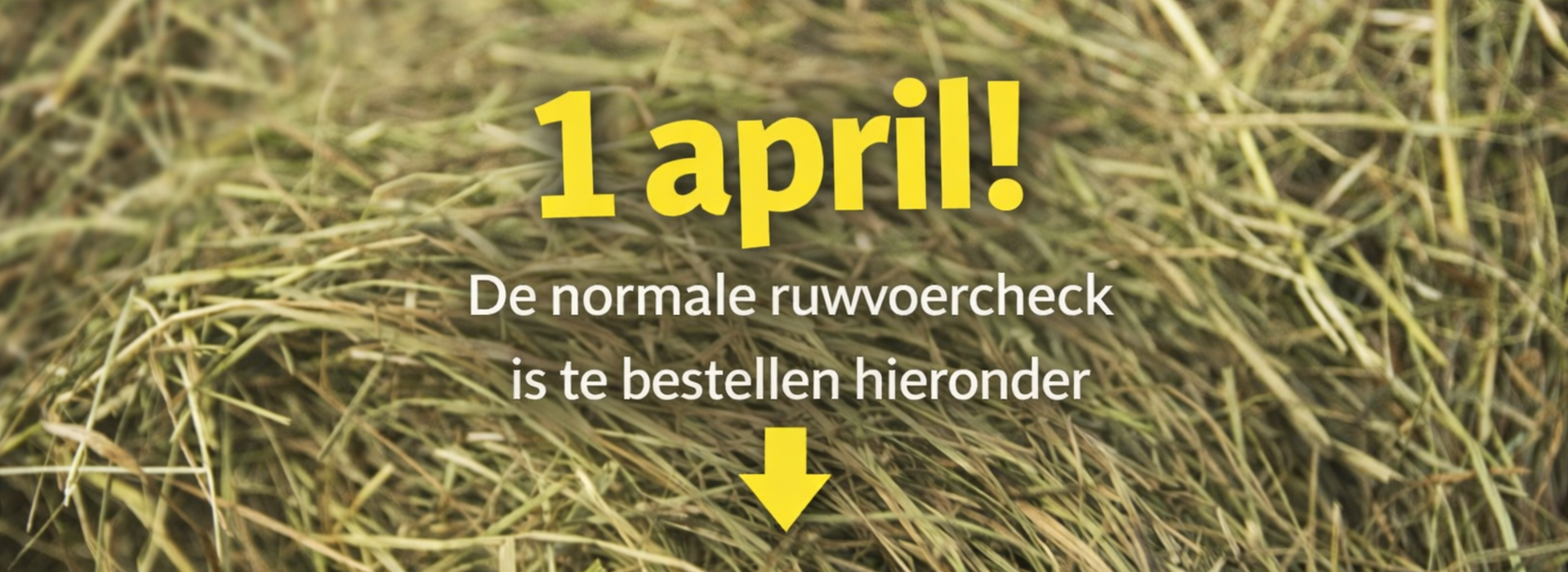 HAVENS Ruwvoeranalyse