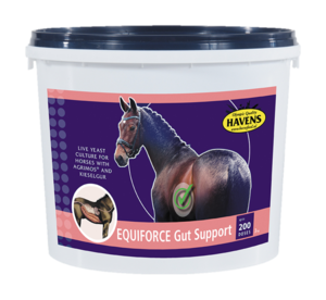 Equiforce Gut Support 