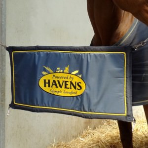 HAVENS stable guard