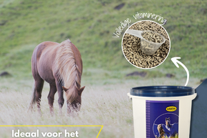 Bestseller: EQUIFORCE Complete Vital (9 kg): Multi-vitaminen (in korrel) voor alle paarden