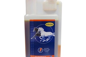 EQUIFORCE B+ liquid (1 liter); vloeibare B-vitamines ter voorkoming van tekorten