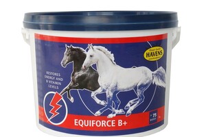 EQUIFORCE B+ (3 kg voordeelpak); extra B-vitamines voor herstel energieniveau & hulp bij verharen