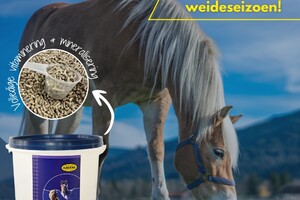 Bestseller: EQUIFORCE Complete Vital (9 kg): Multi-vitaminen (in korrel) voor alle paarden