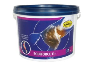 EQUIFORCE E+ (1 kg); de "spier-vitamine") voor  spieropbouw en groei spiermassa