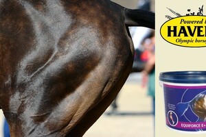 EQUIFORCE E+ (1 kg); de "spier-vitamine") voor  spieropbouw en groei spiermassa
