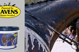 EQUIFORCE Lyte Liquid (5 liter voordeelpak): vloeibare electrolyten voor sportpaarden