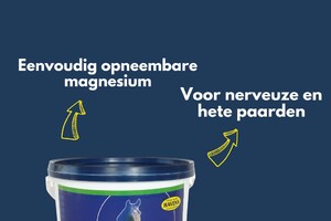 Bestseller: EQUIFORCE Magnesium (1.5 kg); voor minder stress & méér concentratie