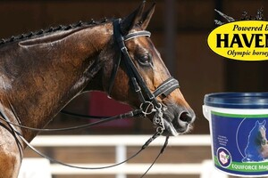 Bestseller: EQUIFORCE Magnesium (1.5 kg); voor minder stress & méér concentratie