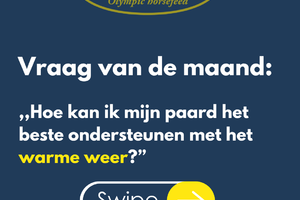 EQUIFORCE Lyte Liquid (1 liter): vloeibare electrolyten voor uw sportpaard