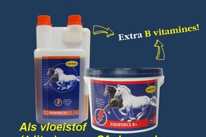 EQUIFORCE B+ (3 kg voordeelpak); extra B-vitamines voor herstel energieniveau & hulp bij verharen