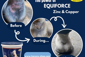 EQUIFORCE Zinc & Copper (3 kg voordeelpak); voor hoeven-, huid- en vachtherstel