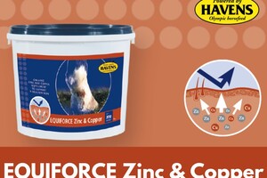 EQUIFORCE Zinc & Copper (3 kg voordeelpak); voor hoeven-, huid- en vachtherstel