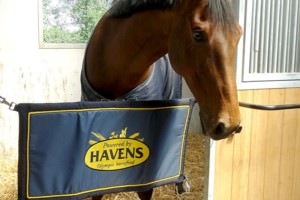 HAVENS stable guard