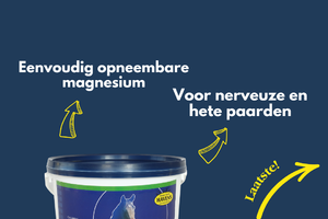 EQUIFORCE Magnesium (5 kg voordeelpak); voor minder stress & méér concentratie