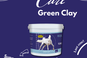EQUIFORCE Green Clay (5 kg): Franse groene klei voor herstel van benen, ligamenten en pezen